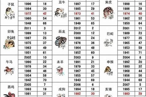 2005年生肖|2005年属什么生肖 2005年属什么的生肖